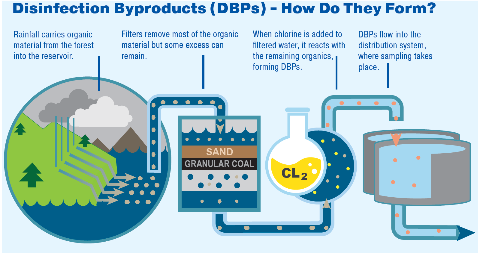 Information And Frequently Asked Questions About Disinfection 